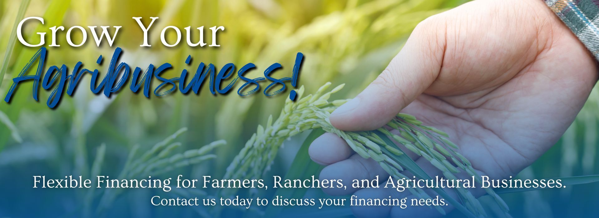 Grow Your Agribusiness! Flexible financing for farmers, ranchers, and Agricultural businesses. COntact us today to discuss your financing needs.